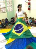 Brasil E Seus Adversarios Suica 00024