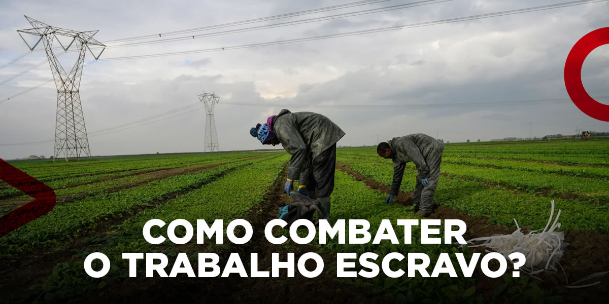 A desigualdade social e econômica do Brasil enquanto fonte de fortalecimento do trabalho escravo
